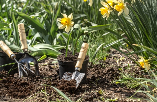 Planting flower ganrden