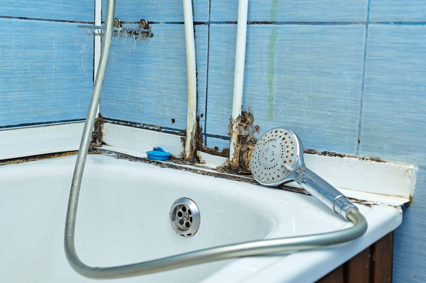 extremely dirty and mouldy shower and bath with blue tiles